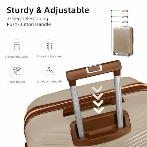 Luggage with telescoping push-button handle and features.